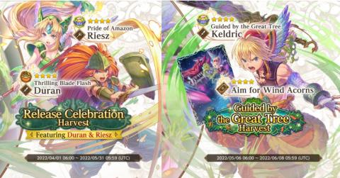 Echoes of Mana rerolling guide9